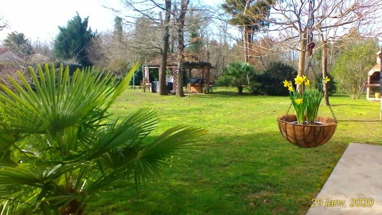 Le Clos Des Palombes Wifi Climatisation Saint-Pierre-du-Mont  Dış mekan fotoğraf