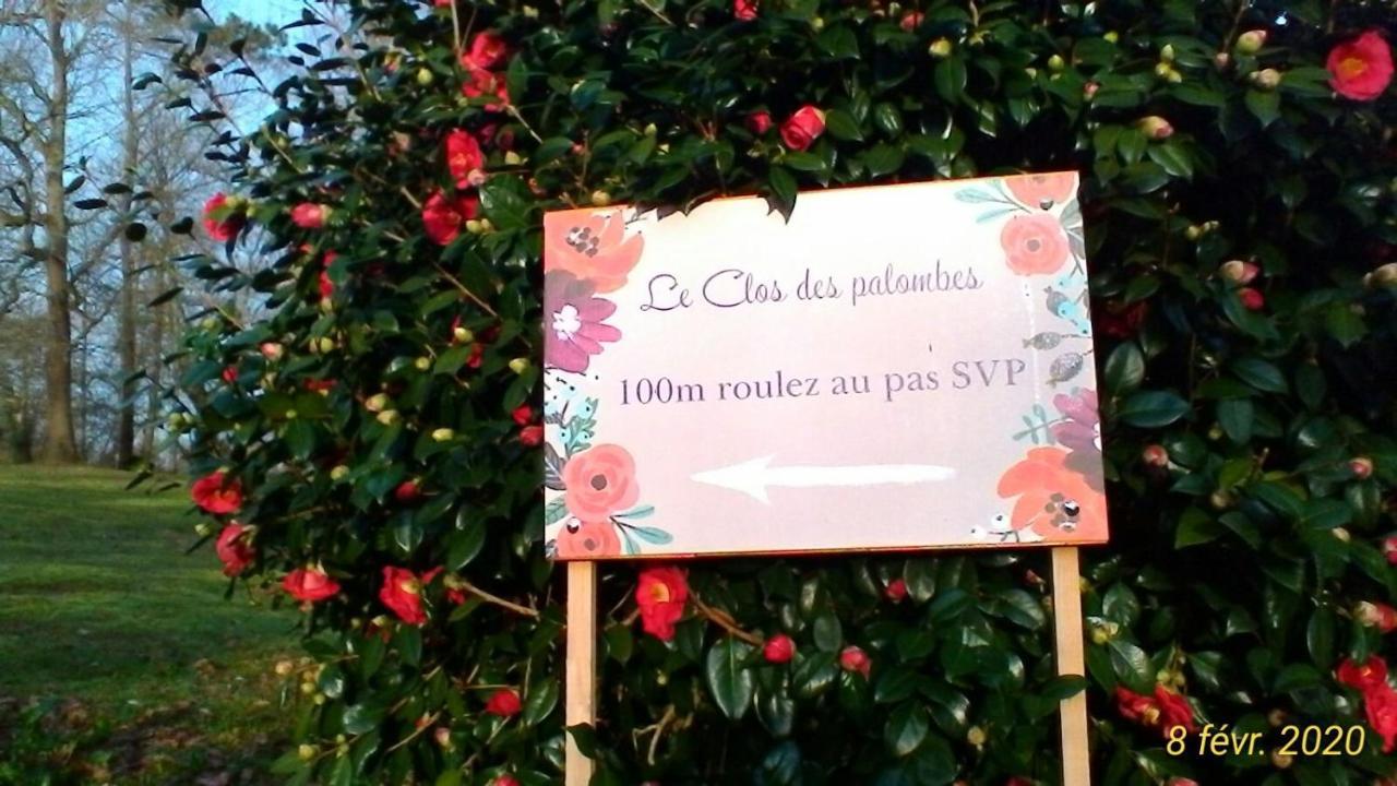 Le Clos Des Palombes Wifi Climatisation Saint-Pierre-du-Mont  Dış mekan fotoğraf