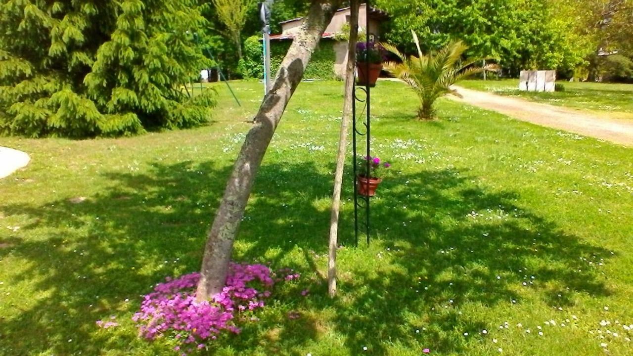 Le Clos Des Palombes Wifi Climatisation Saint-Pierre-du-Mont  Dış mekan fotoğraf