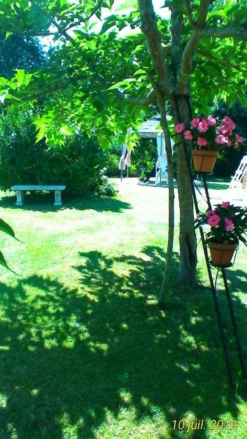 Le Clos Des Palombes Wifi Climatisation Saint-Pierre-du-Mont  Dış mekan fotoğraf